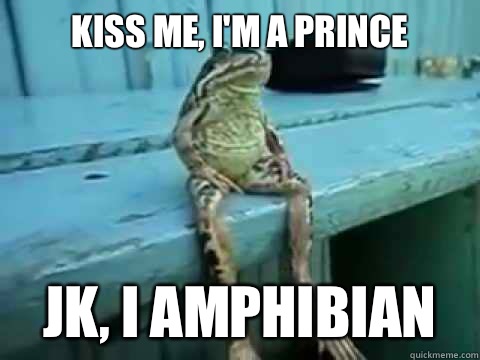 Kiss me, I'm a prince Jk, I amphibian  SITTING FROG