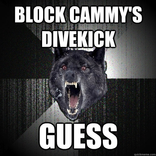 Block Cammy's divekick Guess  Insanity Wolf