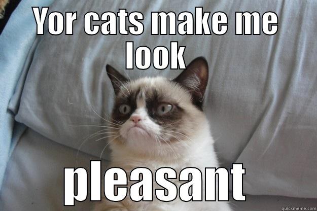 YOR CATS MAKE ME LOOK PLEASANT Grumpy Cat