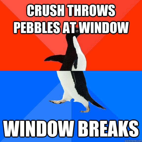 crush throws pebbles at window window breaks - crush throws pebbles at window window breaks  Socially Awesome Awkward Penguin
