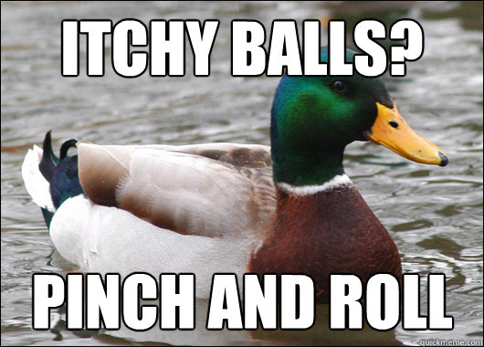 Itchy balls? Pinch and roll - Itchy balls? Pinch and roll  Actual Advice Mallard