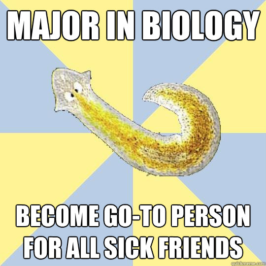 Major in biology Become go-to person for all sick friends  Bio Major Planarian