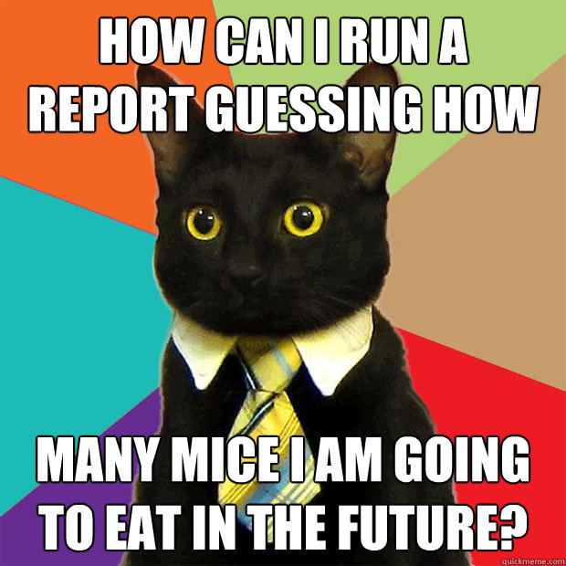 How can I run a report guessing how  many mice I am going to eat in the future?  Business Cat