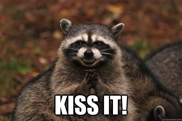  KISS IT!  Evil Plotting Raccoon