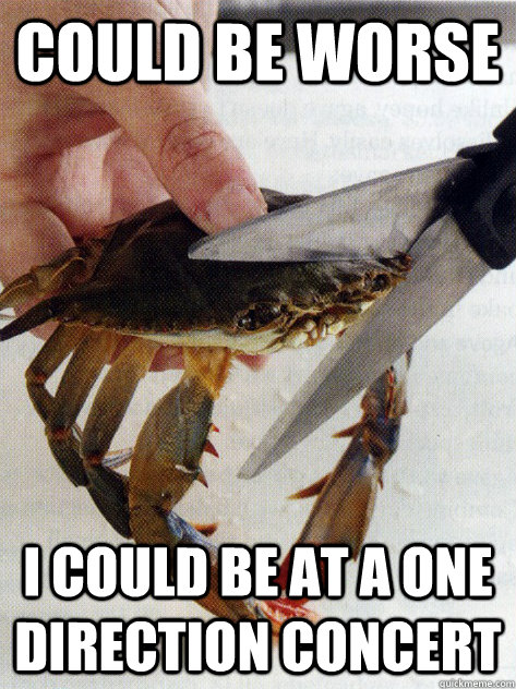 Could be worse I could be at a One Direction concert   Optimistic Crab