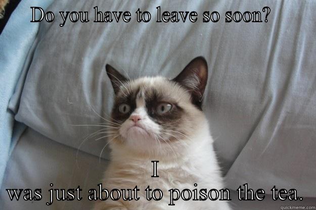 You know! -    DO YOU HAVE TO LEAVE SO SOON?      I WAS JUST ABOUT TO POISON THE TEA. Grumpy Cat