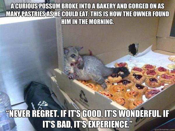 A curious possum broke into a bakery and gorged on as many pastries as he could eat. This is how the owner found him in the morning. “Never regret. If it's good, it's wonderful. If it's bad, it's experience.” - A curious possum broke into a bakery and gorged on as many pastries as he could eat. This is how the owner found him in the morning. “Never regret. If it's good, it's wonderful. If it's bad, it's experience.”  Possum Breaks Into Bakery