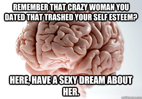 Remember that crazy woman you dated that trashed your self esteem? Here, have a sexy dream about her.  Scumbag Brain