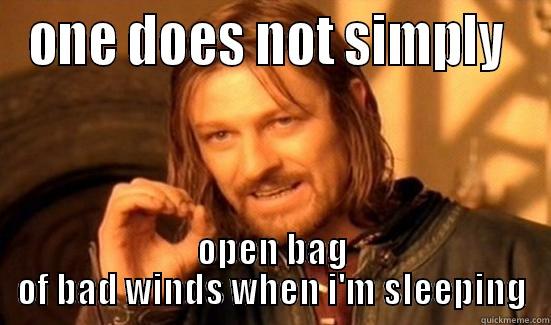 ONE DOES NOT SIMPLY  OPEN BAG OF BAD WINDS WHEN I'M SLEEPING Boromir