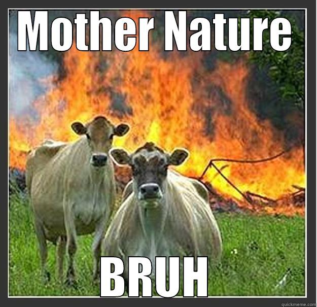 bruh cowa - MOTHER NATURE BRUH Evil cows