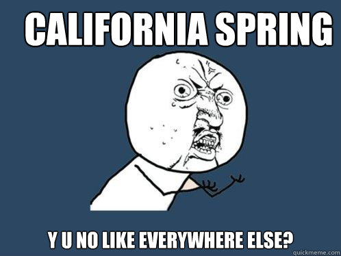 california spring y u no like everywhere else? - california spring y u no like everywhere else?  Y U No