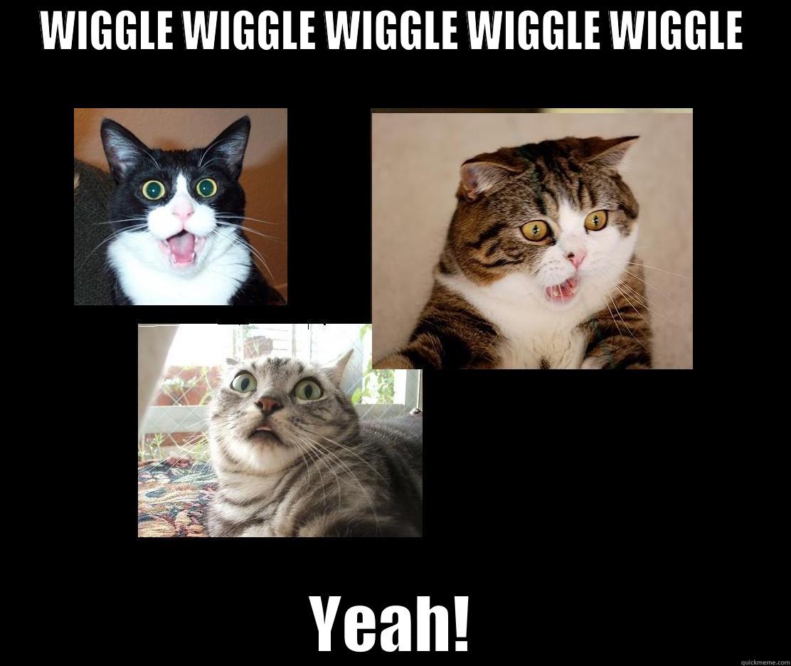 WIGGLE WIGGLE WIGGLE WIGGLE WIGGLE YEAH! Misc