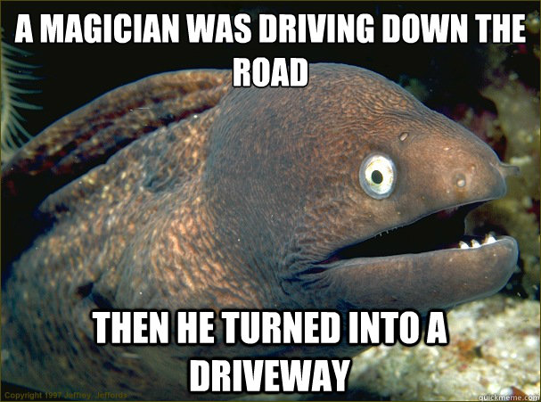 a magician was driving down the road then he turned into a driveway  Bad Joke Eel