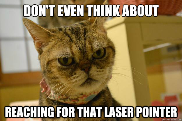 don't even think about reaching for that laser pointer  