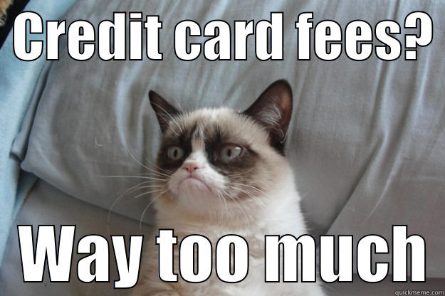 Credit Card Fee -  CREDIT CARD FEES?    WAY TOO MUCH Grumpy Cat