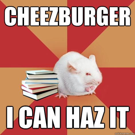 Cheezburger I can haz it - Cheezburger I can haz it  Science Major Mouse