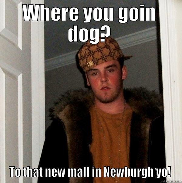 Eminem meme - WHERE YOU GOIN DOG? TO THAT NEW MALL IN NEWBURGH YO! Scumbag Steve