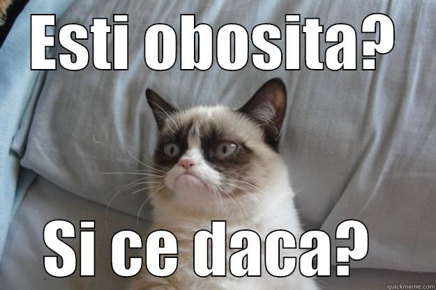 ESTI OBOSITA? SI CE DACA?  Grumpy Cat