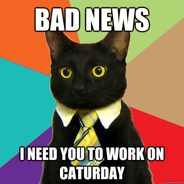 Bad news I need you to work on caturday  Business Cat