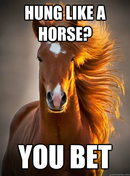 Hung like a horse? you bet  Ridiculously Photogenic Horse