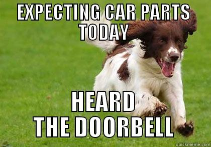 WHEN PARTS ARRIVE... - EXPECTING CAR PARTS TODAY HEARD THE DOORBELL Misc