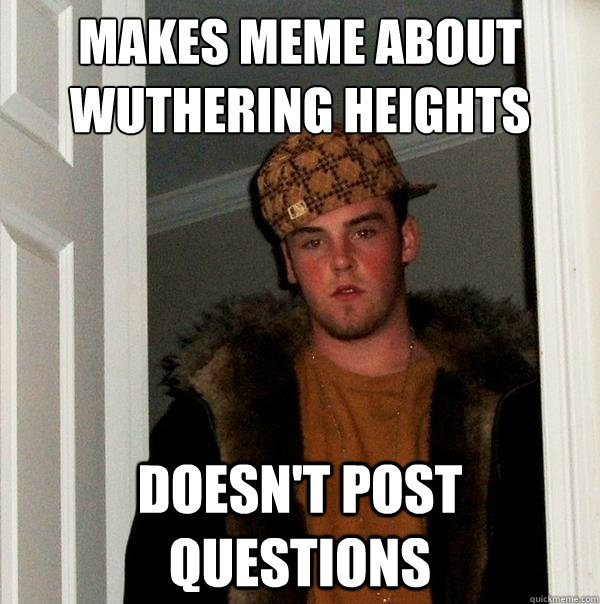 makes meme about wuthering heights doesn't post questions  Scumbag Steve