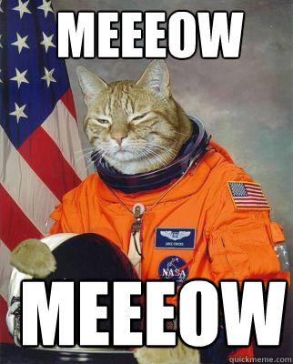  MEEEOW  MEEEOW -  MEEEOW  MEEEOW  Astronaut cat