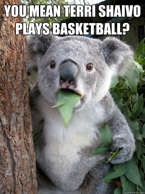 you mean terri shaivo plays basketball?  - you mean terri shaivo plays basketball?   koala bear