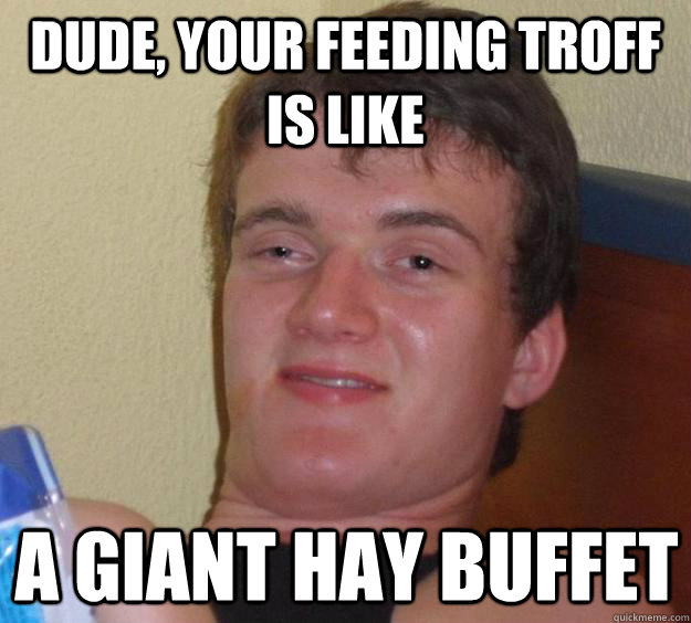 Dude, your feeding troff is like A giant hay buffet   10 Guy