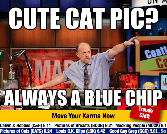 cute cat pic? always a blue chip   Mad Karma with Jim Cramer