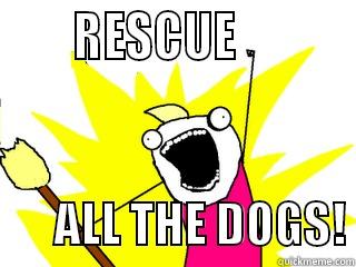       RESCUE                  ALL THE DOGS! All The Things