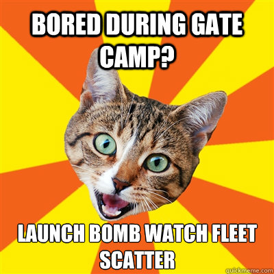 Bored during gate camp? Launch bomb watch fleet scatter  Bad Advice Cat