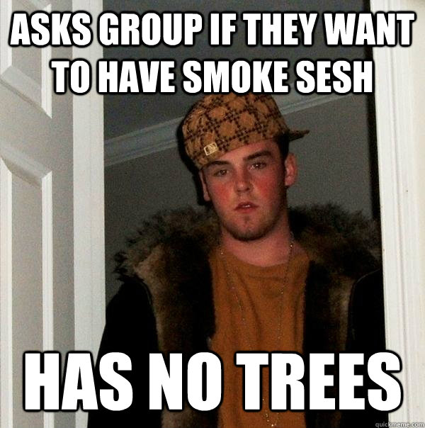 asks group if they want to have smoke sesh has no trees - asks group if they want to have smoke sesh has no trees  Scumbag Steve