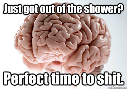 Just got out of the shower? Perfect time to shit.   Scumbag Brain