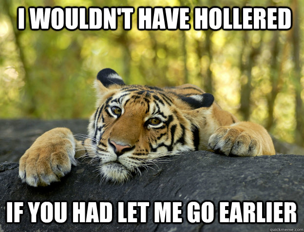 I wouldn't have hollered If you had let me go earlier  Confession Tiger