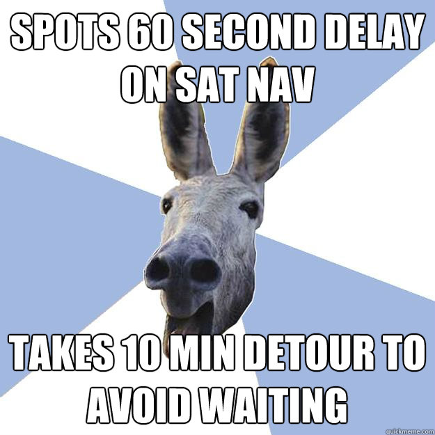 Spots 60 second delay on Sat Nav Takes 10 min detour to avoid waiting  Jackass Boyfriend