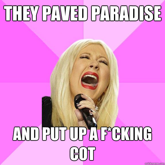 They paved paradise and put up a f*cking cot - They paved paradise and put up a f*cking cot  Wrong Lyrics Christina