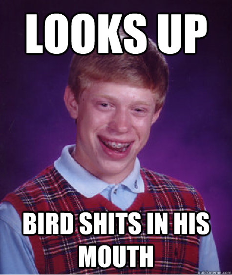 Looks up Bird shits in his mouth  Bad Luck Brian