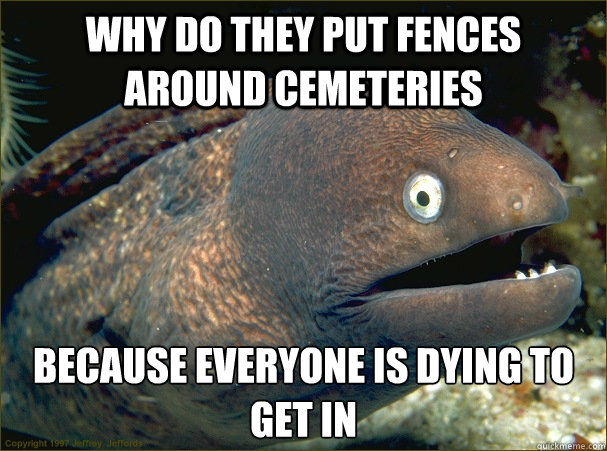 Why do they put fences around cemeteries because everyone is dying to get in  Bad Joke Eel