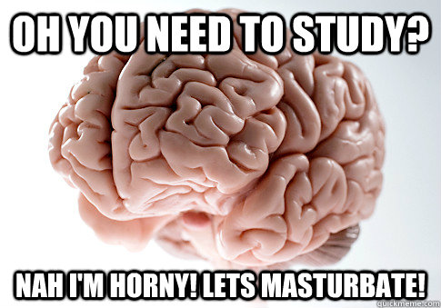 oh you need to study? nah i'm horny! lets masturbate!  Scumbag Brain
