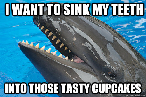 I want to sink my teeth INTO THOSE TASTY CUPCAKES  Misunderstood Killer Whale