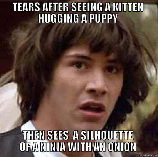 Ninja, Onion, Kitten, Puppy - TEARS AFTER SEEING A KITTEN HUGGING A PUPPY THEN SEES  A SILHOUETTE OF A NINJA WITH AN ONION conspiracy keanu