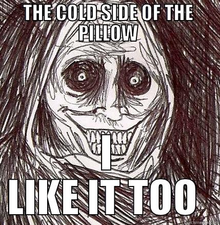 THE COLD SIDE OF THE PILLOW I LIKE IT TOO  Horrifying Houseguest