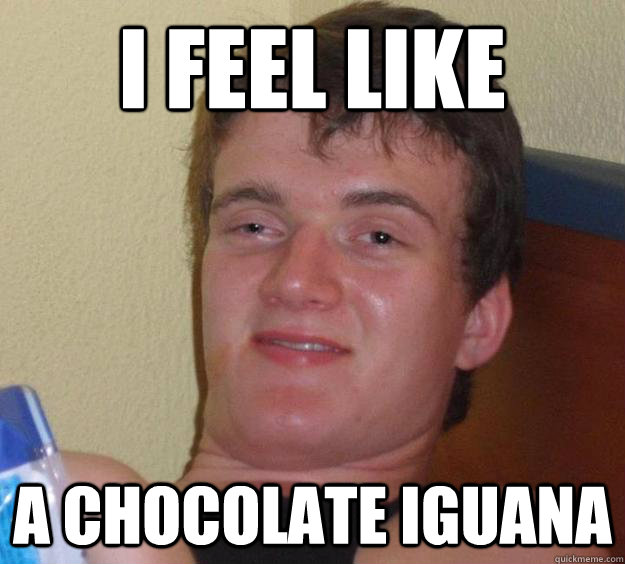 I feel like a chocolate iguana  10 Guy
