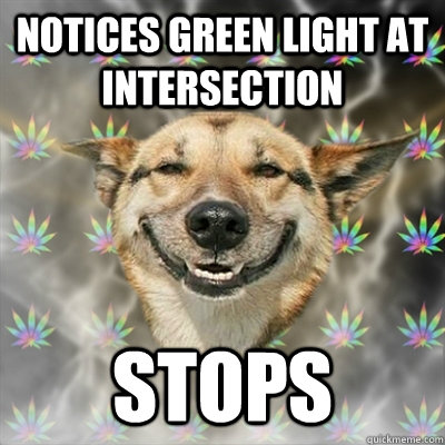 Notices green light at intersection stops  Stoner Dog