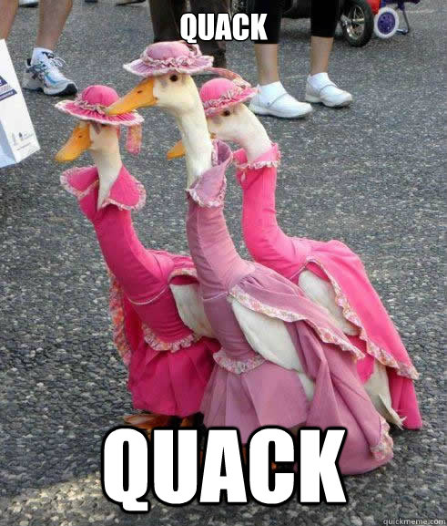 Quack Quack - Quack Quack  Fancy Ducks