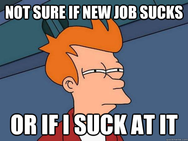 Not sure if new job sucks Or if I suck at it   Futurama Fry