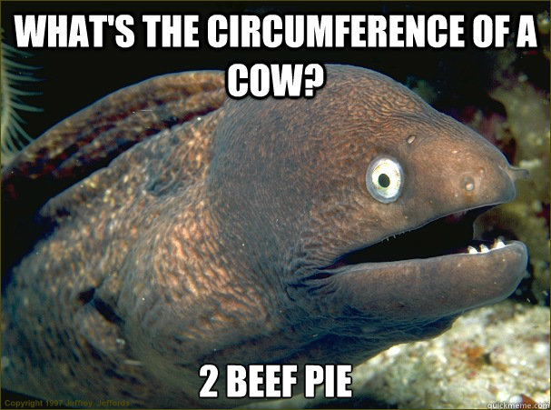 What's the circumference of a cow? 2 beef pie  Bad Joke Eel