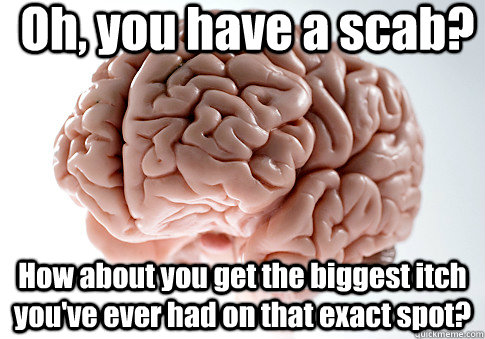 Oh, you have a scab? How about you get the biggest itch you've ever had on that exact spot?  - Oh, you have a scab? How about you get the biggest itch you've ever had on that exact spot?   Scumbag Brain