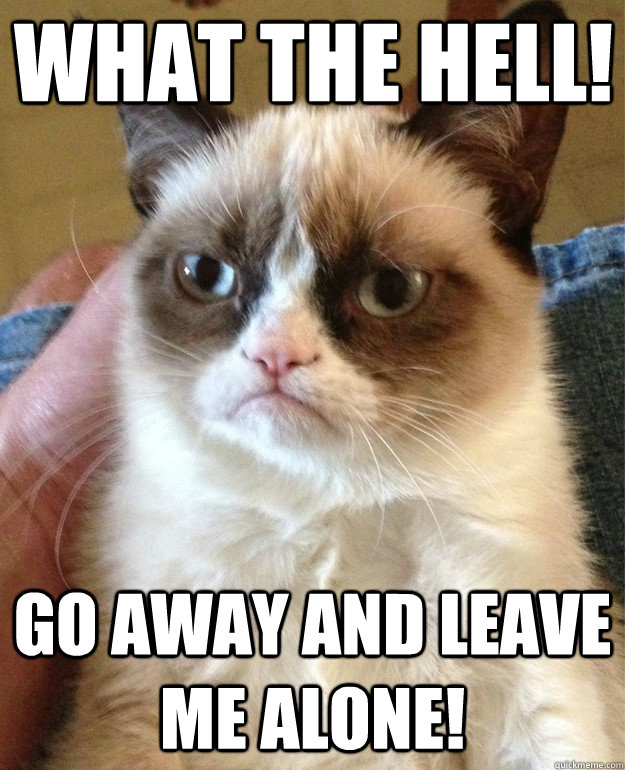 what the hell! go away and leave me alone!  Grumpy Cat